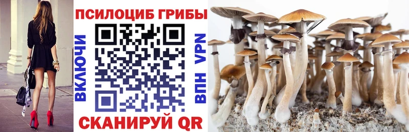 Галлюциногенные грибы мицелий  продажа наркотиков  omg ссылка  Лыткарино 